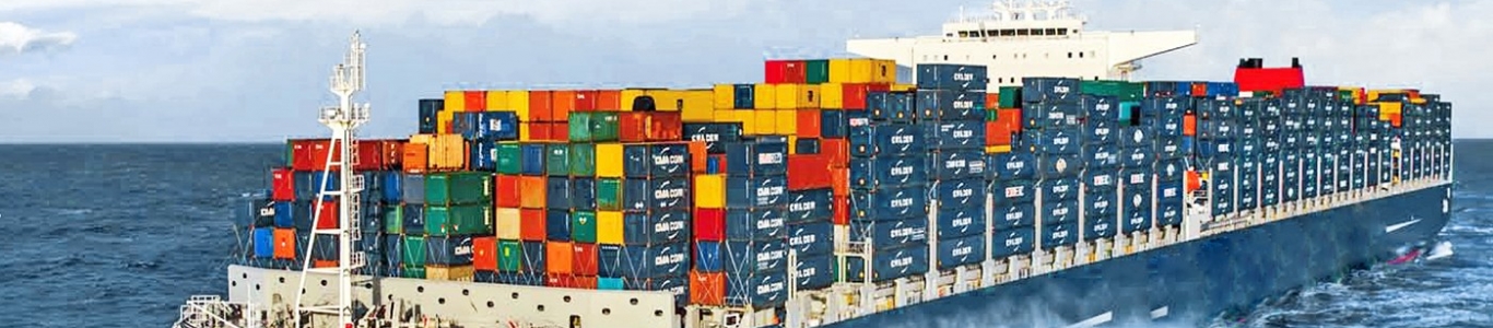 PUMBA CARGO