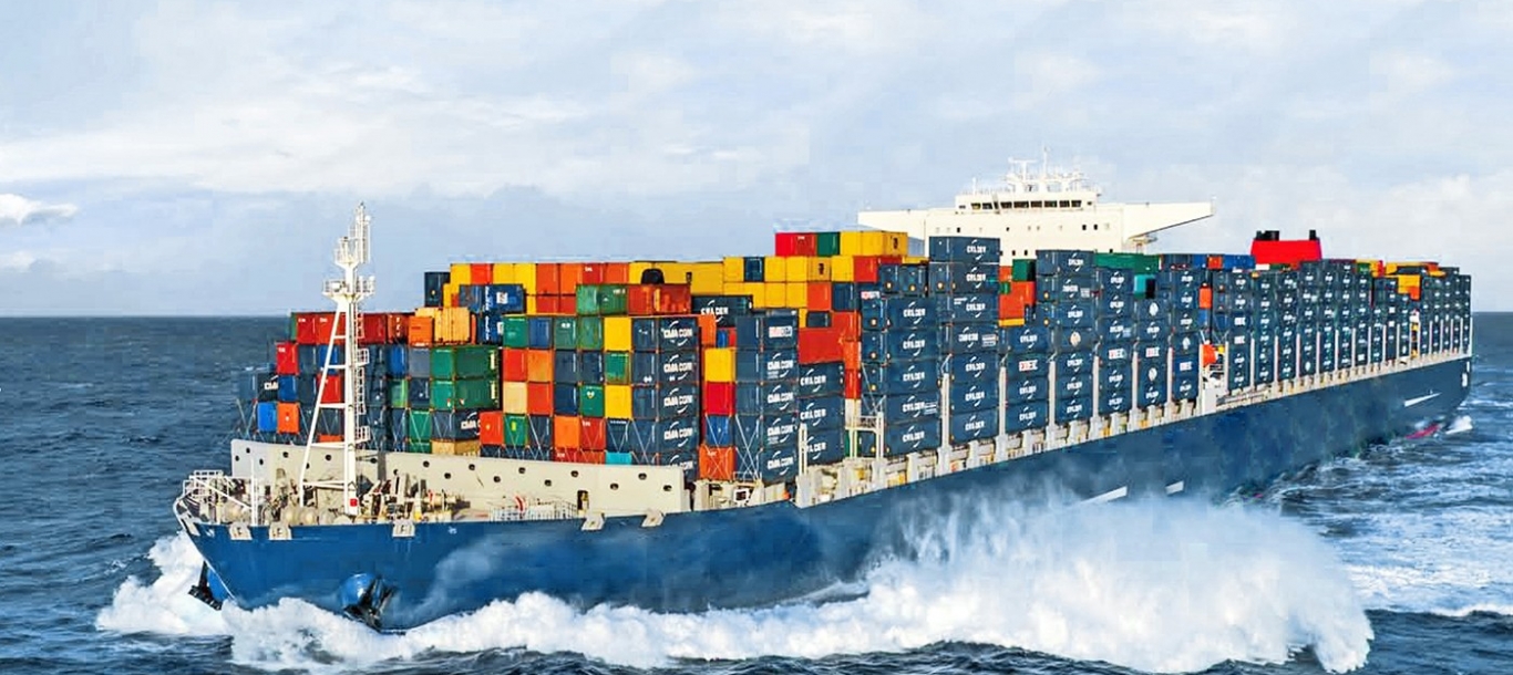PUMBA CARGO